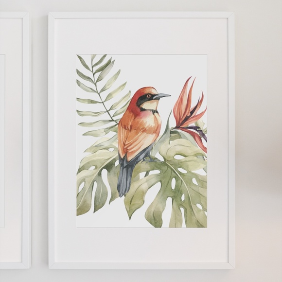 Bee-Eater Bird Watercolor Illustration Wall Art Print Poster Unframed - Picture 3 of 17